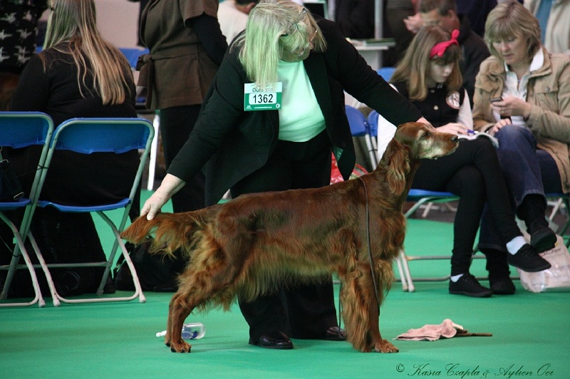 Crufts2011 024.jpg